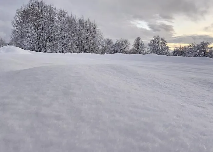 Villa Osada U Pogwizdow